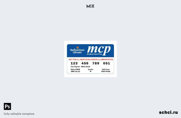 цифровая загрузка шаблона карты медицинского страхования Ньюфаундленда и Лабрадо